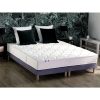 Remise ✔️ Matelas Ressorts Ensachés 160x200 Cm CANTATE ???? 1 Remise ✔️ Matelas Ressorts Ensachés 160x200 Cm CANTATE ???? -VIDAXL Shop unnamed file 424